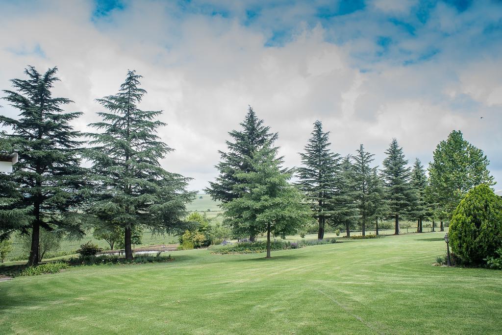 Glen Ormond Country House Henburg Park Exteriér fotografie